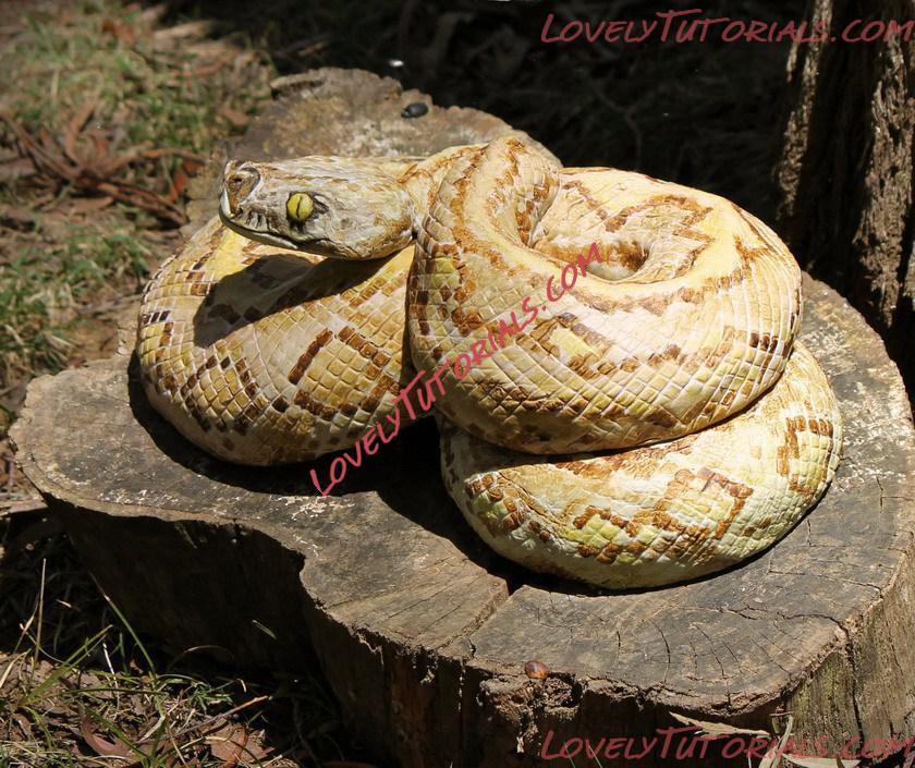 Название: 01.jpg
Просмотров: 7
Размер: 249.2 Кб