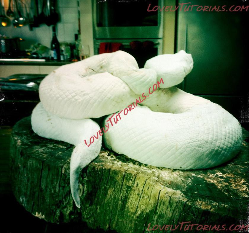 Название: 04.jpg
Просмотров: 1
Размер: 179.6 Кб