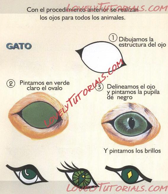 Название: CÃ³mo Pintar Ojos (15)-2.jpg
Просмотров: 0

Размер: 111.0 Кб