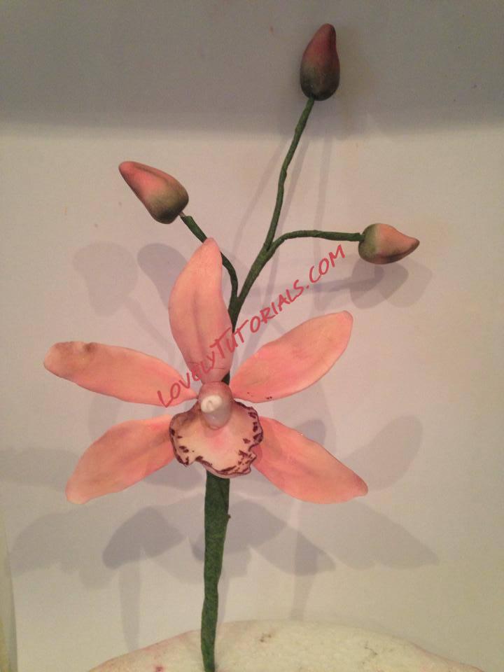 Название: 13.jpg
Просмотров: 0

Размер: 38.8 Кб