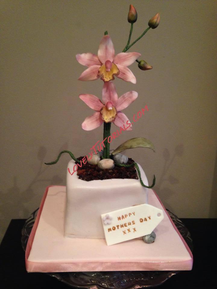 Название: 14.jpg
Просмотров: 0

Размер: 48.1 Кб