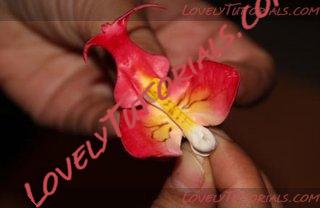 Название: Orchid Flower Sculpt N 1 Step 47.jpg
Просмотров: 13

Размер: 22.3 Кб