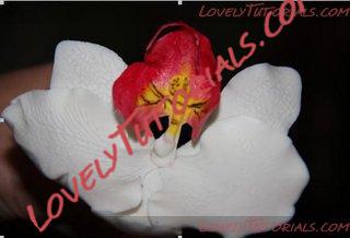 Название: Orchid Flower Sculpt N 1 Step 48.jpg
Просмотров: 13

Размер: 24.9 Кб