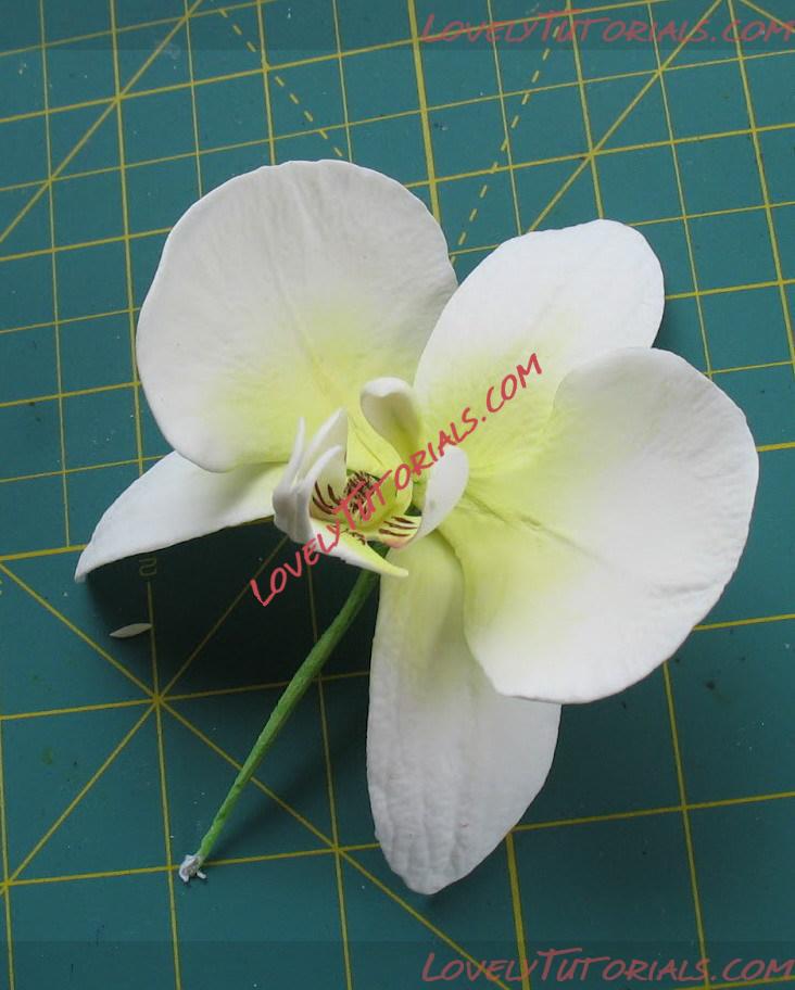 Название: Orchid Flower Sculpt Tutorial N 3 Step 28.jpg
Просмотров: 4

Размер: 130.0 Кб