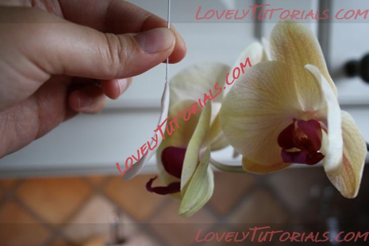 Название: Orchid Flower Sugar Sculpt Tutorial N 4 Step 13.jpg
Просмотров: 0

Размер: 172.5 Кб