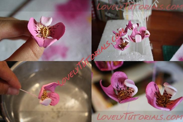 Название: Orchid Flower Sugar Sculpt Tutorial N 4 Step 15.jpg
Просмотров: 1

Размер: 225.9 Кб