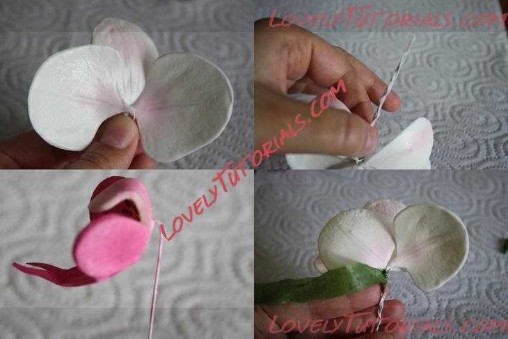 Название: Orchid Flower Sugar Sculpt Tutorial N 4 Step 17.jpg
Просмотров: 2

Размер: 210.7 Кб