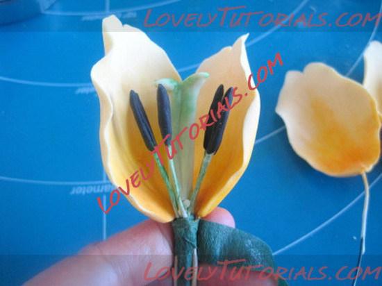 Название: tulip tutorial22_resize.jpg
Просмотров: 1

Размер: 59.3 Кб