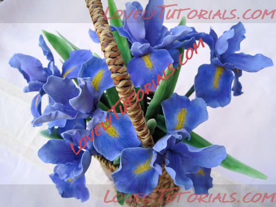 Название: iris flower tutorial 2.jpg
Просмотров: 1

Размер: 97.8 Кб