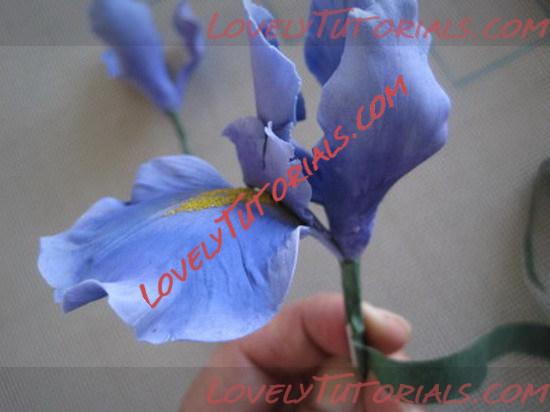 Название: iris flower tutorial 22_resize.jpg
Просмотров: 0

Размер: 53.6 Кб