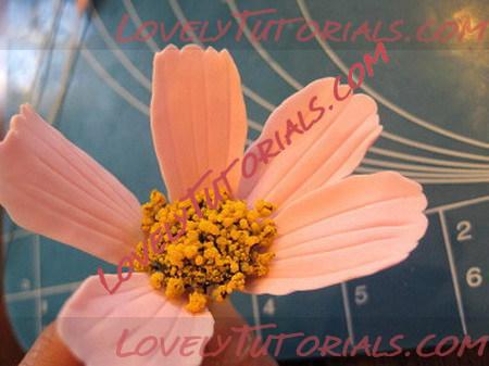 Название: cosmea flower tutorial 18_resize.jpg
Просмотров: 1

Размер: 53.6 Кб