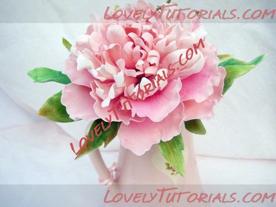 Название: peony flower tutorial 28.jpg
Просмотров: 7

Размер: 58.6 Кб