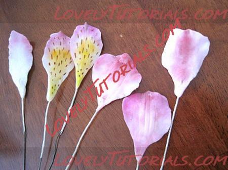 Название: type=w2-9_resize.jpg
Просмотров: 0

Размер: 64.4 Кб