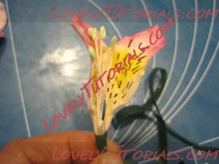 Название: type=w2-11_resize.jpg
Просмотров: 0

Размер: 46.6 Кб