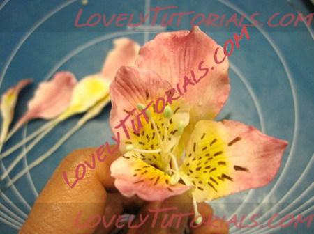 Название: type=w2-13_resize.jpg
Просмотров: 0

Размер: 56.1 Кб