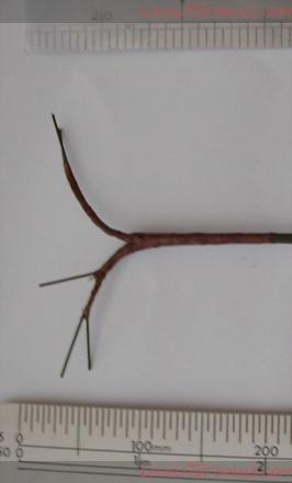 Название: process3-1.jpg
Просмотров: 0

Размер: 28.0 Кб