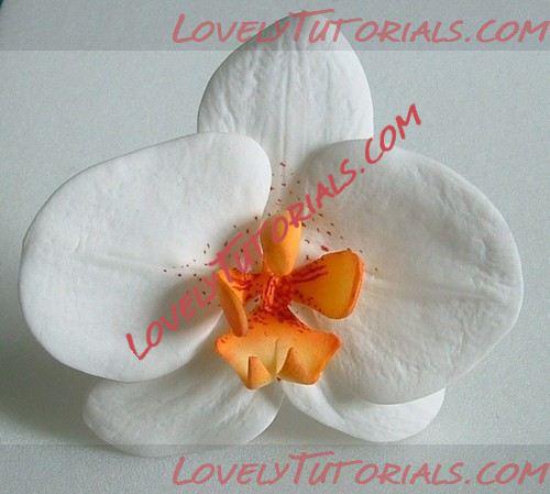 Название: 233326-2.jpg
Просмотров: 0

Размер: 26.8 Кб