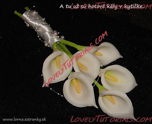 Название: Cala Lily flower tutorial 16.jpg
Просмотров: 0

Размер: 35.5 Кб
