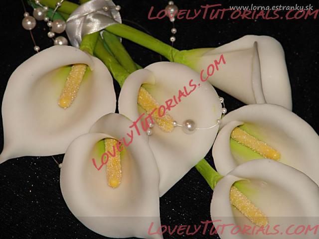 Название: Cala Lily flower tutorial 19.jpg
Просмотров: 1

Размер: 32.5 Кб