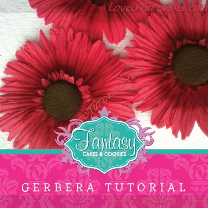 Название: gumpaste gerbera flower tutorial 1.jpg
Просмотров: 1

Размер: 70.4 Кб