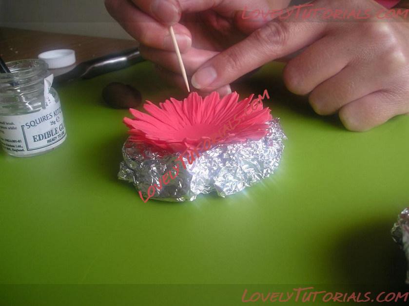 Название: gumpaste gerbera flower tutorial 22.jpg
Просмотров: 0

Размер: 89.5 Кб