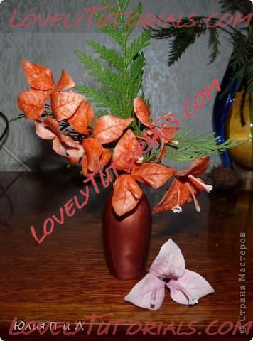 Название: bougainvillaea flower tutorial5.jpg
Просмотров: 15

Размер: 50.7 Кб