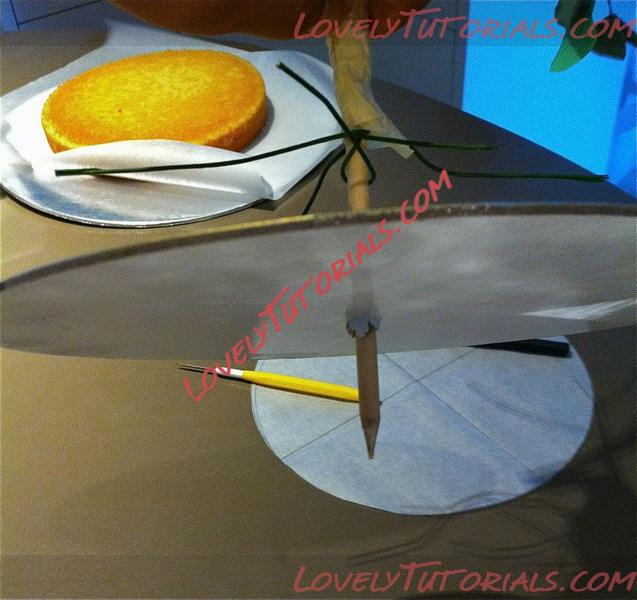 Название: tree tutorial 19.jpg
Просмотров: 0
Размер: 116.3 Кб