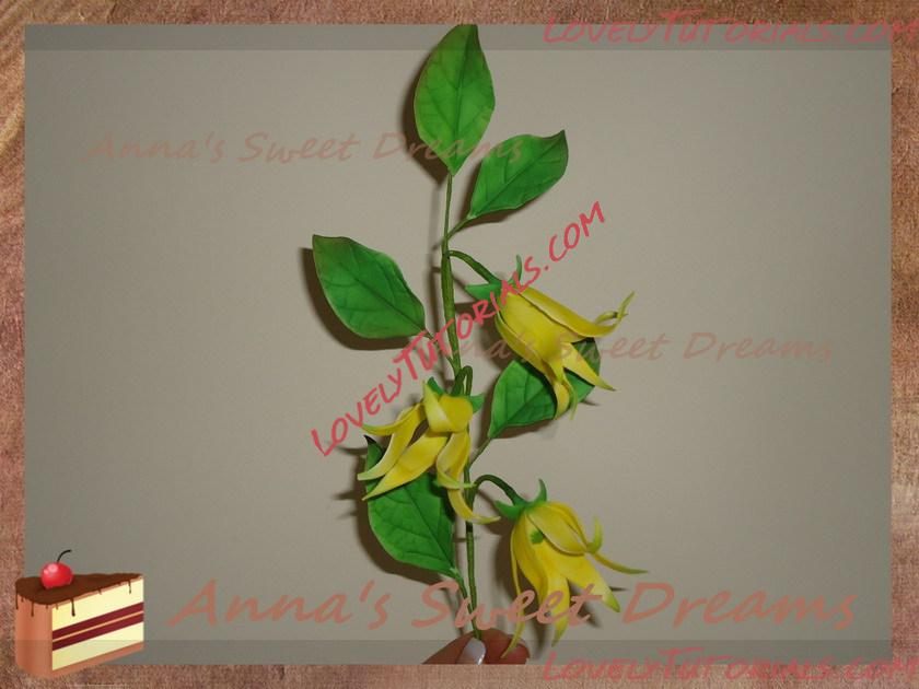 Название: ylang-ylang step by step 23.jpg
Просмотров: 2

Размер: 96.2 Кб