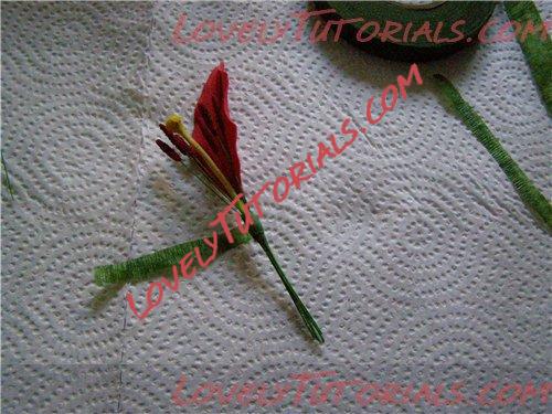 Название: gumpaste lily tutorial7.jpg
Просмотров: 23

Размер: 55.6 Кб