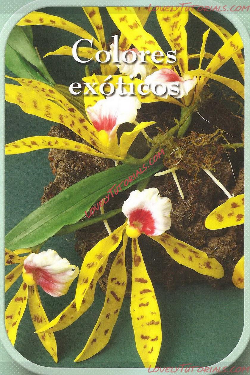 Название: 1.jpg
Просмотров: 0

Размер: 461.7 Кб