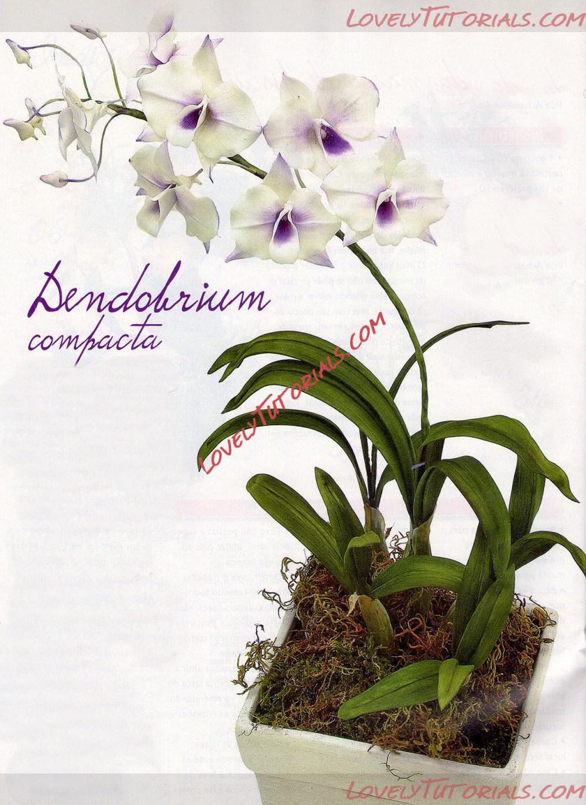 Название: 1.jpg
Просмотров: 0

Размер: 274.2 Кб