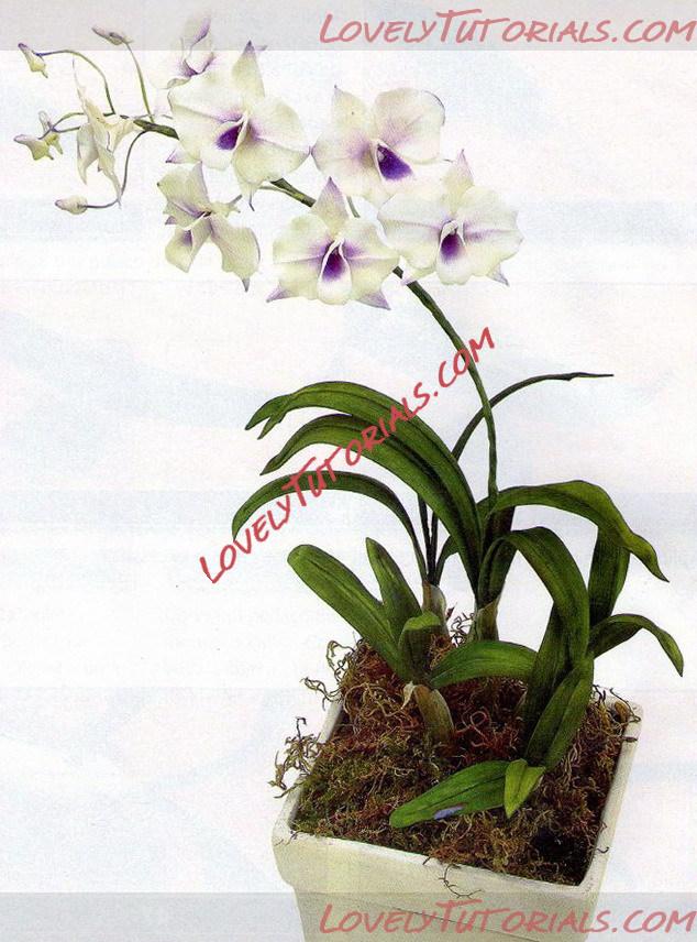 Название: 7.jpg
Просмотров: 0

Размер: 154.3 Кб