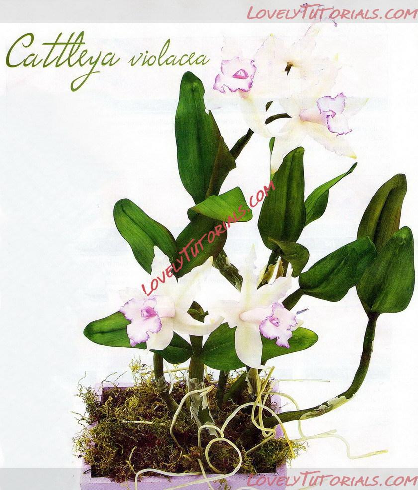 Название: 1.jpg
Просмотров: 0

Размер: 231.4 Кб