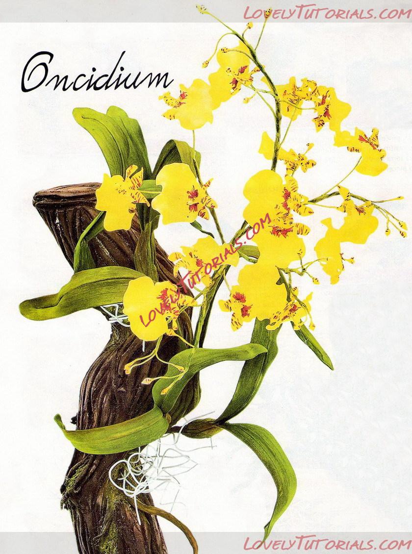 Название: 1.jpg
Просмотров: 1

Размер: 291.0 Кб