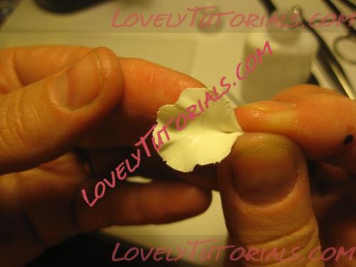 Название: 18.JPG
Просмотров: 0
Размер: 46.8 Кб