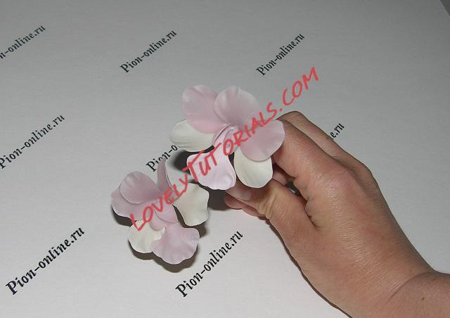 Название: 20.JPG
Просмотров: 0

Размер: 83.1 Кб