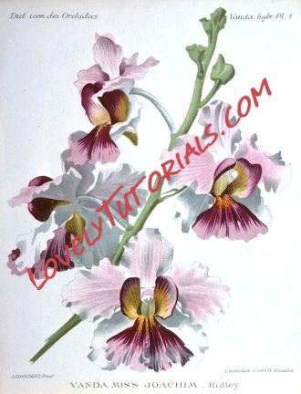 Название: 25.jpg
Просмотров: 0

Размер: 50.4 Кб