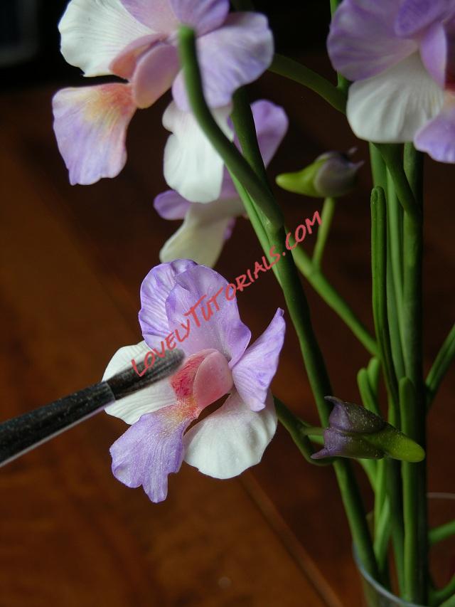 Название: 35.JPG
Просмотров: 0

Размер: 127.4 Кб