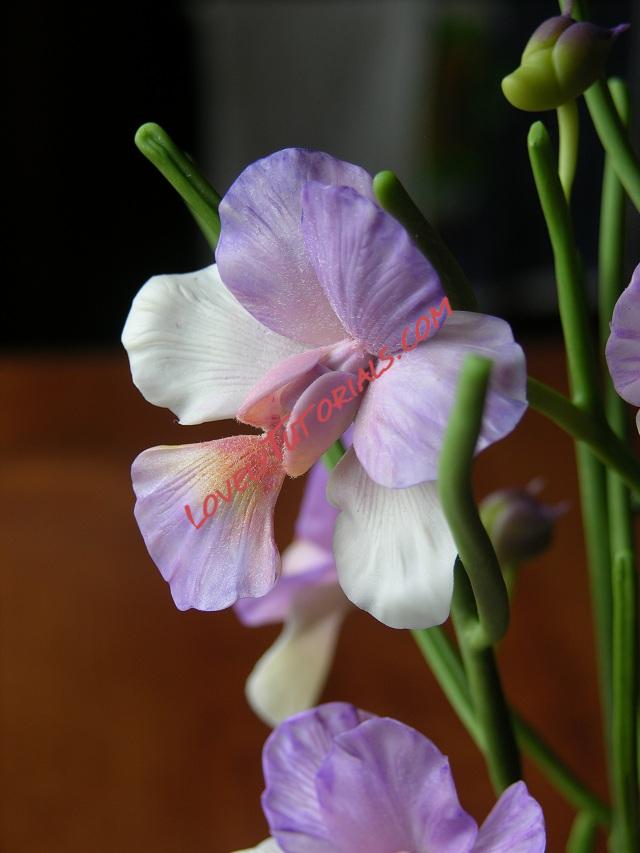 Название: 36.JPG
Просмотров: 0

Размер: 118.4 Кб