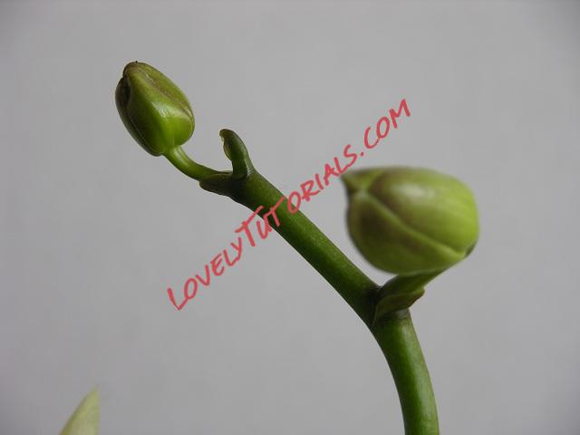 Название: 2.JPG
Просмотров: 0

Размер: 38.5 Кб