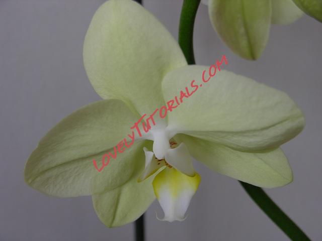 Название: 29.JPG
Просмотров: 0

Размер: 48.4 Кб