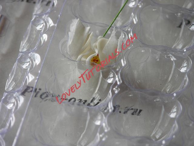 Название: 38.JPG
Просмотров: 0

Размер: 83.0 Кб