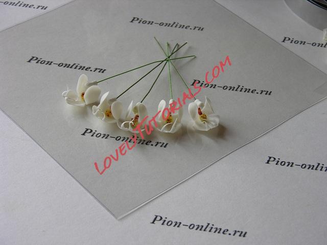 Название: 42.JPG
Просмотров: 0

Размер: 77.5 Кб