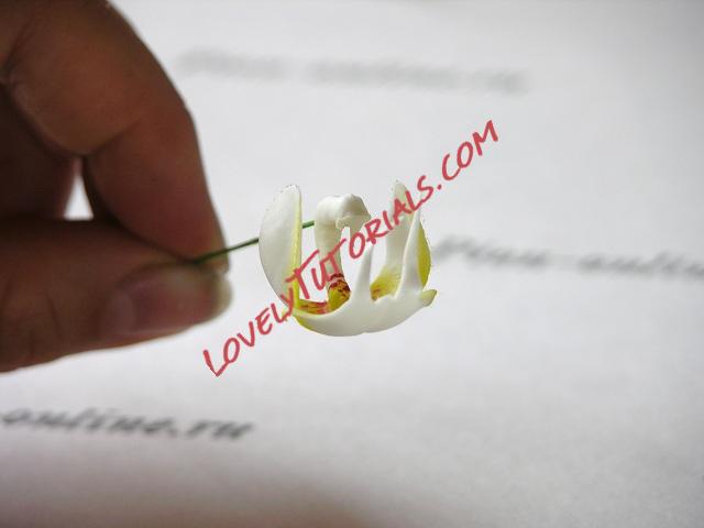 Название: 43.JPG
Просмотров: 0

Размер: 59.7 Кб