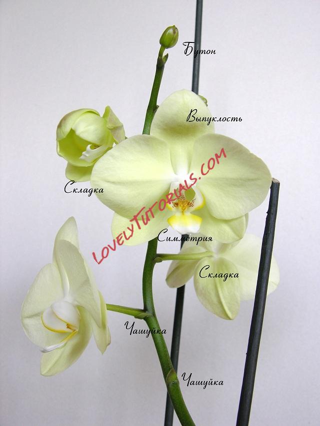 Название: 44.jpg
Просмотров: 1

Размер: 141.2 Кб