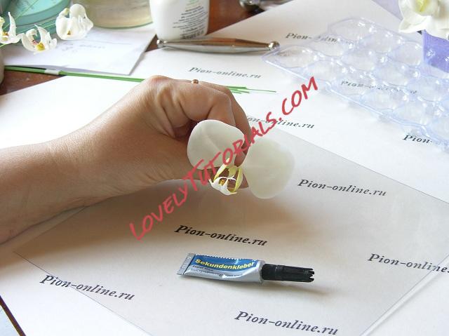 Название: 52.JPG
Просмотров: 0

Размер: 98.5 Кб