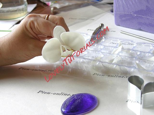 Название: 57.JPG
Просмотров: 0

Размер: 110.1 Кб