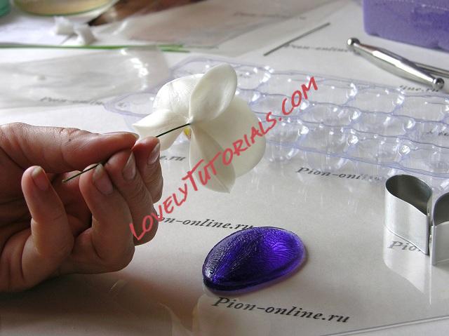 Название: 59.JPG
Просмотров: 1

Размер: 104.3 Кб