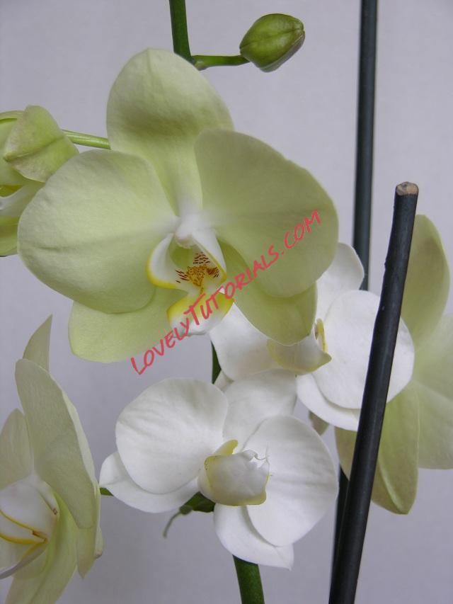 Название: 60.JPG
Просмотров: 3

Размер: 101.9 Кб