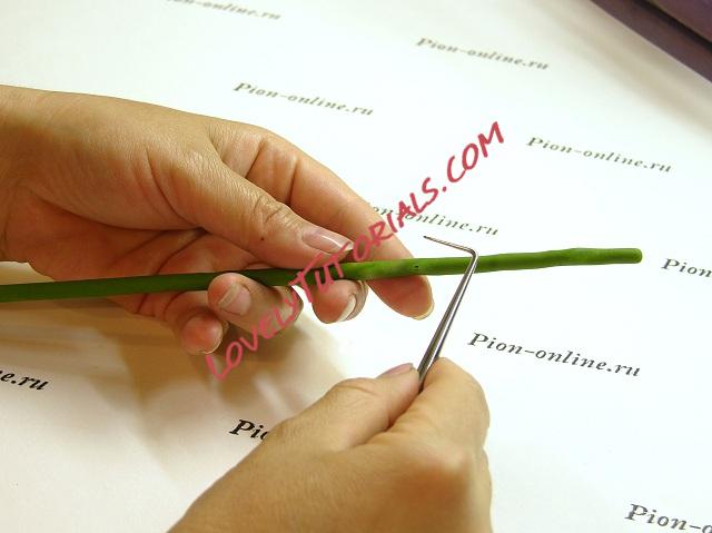 Название: 62.JPG
Просмотров: 1

Размер: 88.3 Кб